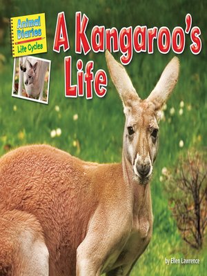 cover image of A Kangaroo's Life